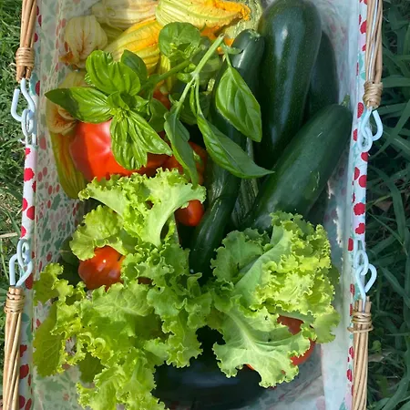 Corte Patrizia Caprino Veronese