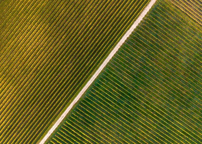 Corte Patrizia مزرعة للإقامة