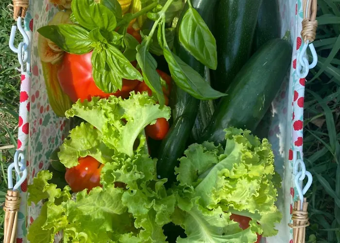 Corte Patrizia كابرينو فيرونيسي